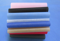 扶绥涤纶（PET）无纺布是什么